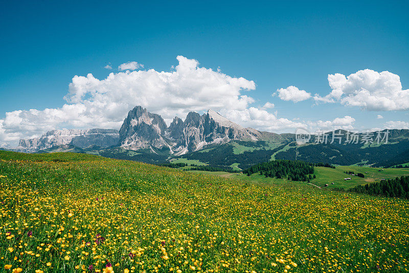 Alpe di Siusi与Sassolungo, Langkofel山脉群在Dolomites，意大利